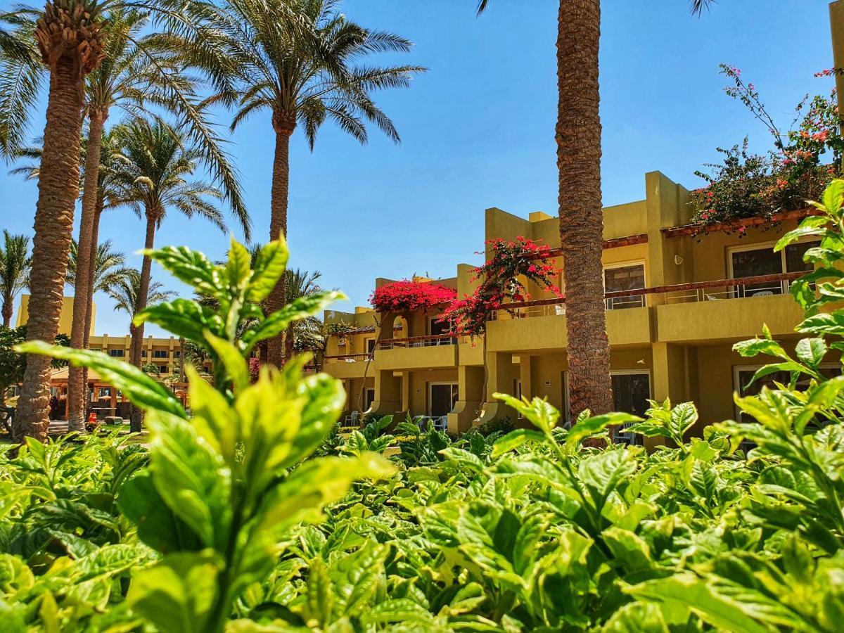 Palm Families And Couples Only Rezort