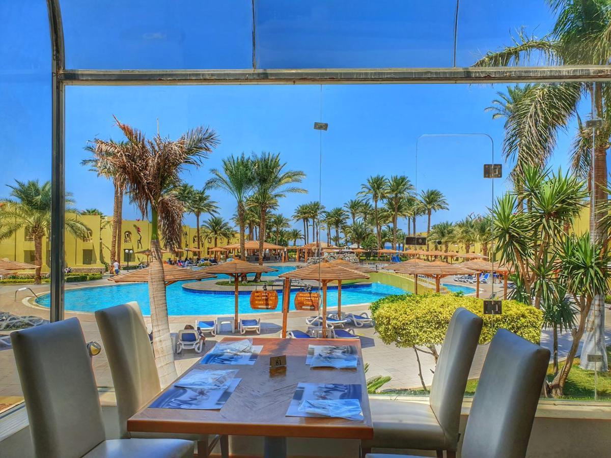 Palm Families And Couples Only Rezort Hurghada